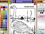 Goose Coloring