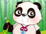 Meet And Dress A Friendly Panda