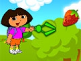 Dora Catching Snacks