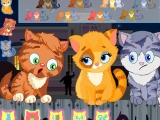 Alley Cat Choir