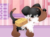 Flash игра для девочек Cute Pets Caring